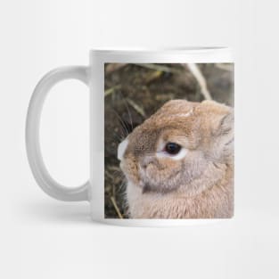 122014 cottontail Mug